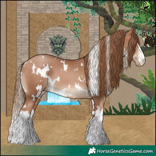 Horse Color:White Spotted Bay Pearl 