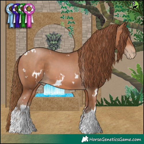 Horse Color:White Spotted Brown Pearl 