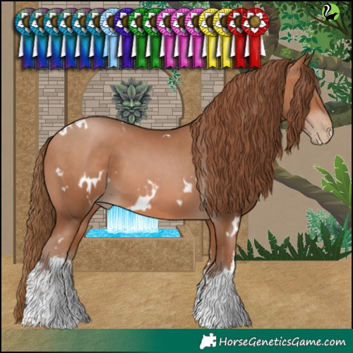 Horse Color:White Spotted Brown Pearl 