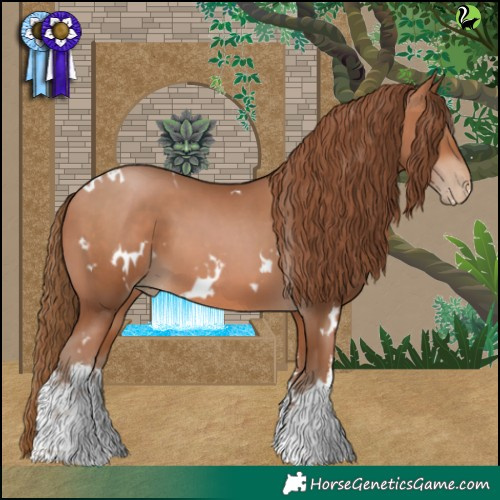 Horse Color:White Spotted Brown Pearl