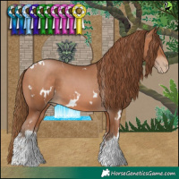 Horse Color:White Spotted Brown Pearl 