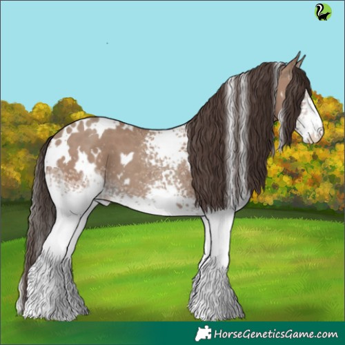 Horse Color:White Spotted Classic Champagne 