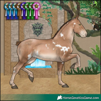 Horse Color:White Spotted Liver Chestnut Pearl 