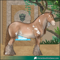 Horse Color:White Spotted Liver Chestnut Pearl 