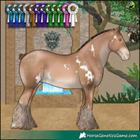 Horse Color:White Spotted Liver Chestnut Pearl 
