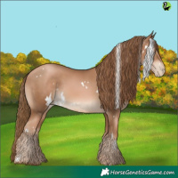 Horse Color:White Spotted Liver Chestnut Pearl 