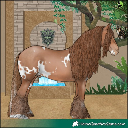 Horse Color:White Spotted Bay Pearl 