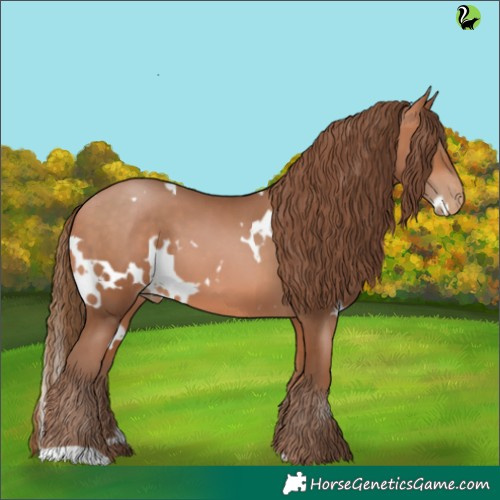 Horse Color:White Spotted Bay Pearl 
