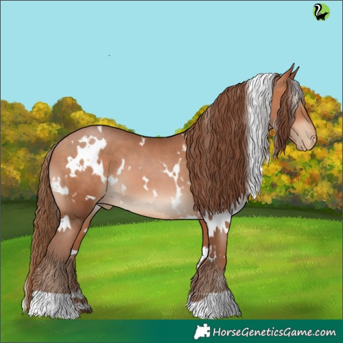 Horse Color:White Spotted Brown Pearl 