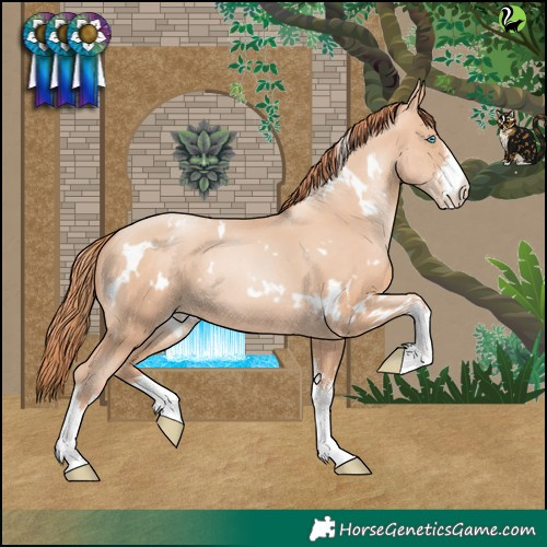 Horse Color:White Spotted Sable Champagne Pearl 