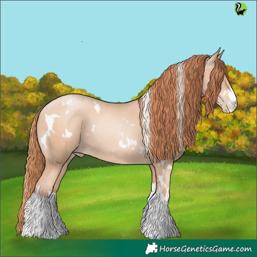Horse Color:White Spotted Sable Champagne Pearl 