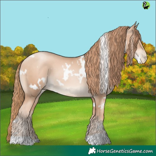 Horse Color:White Spotted Gold Champagne Pearl 