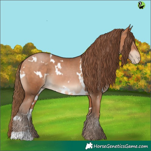Horse Color:White Spotted Brown Pearl