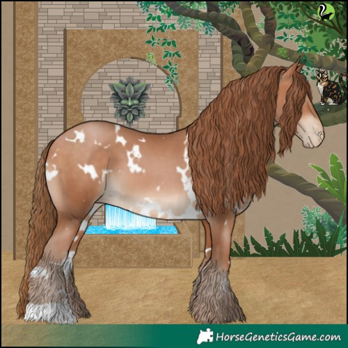 Horse Color:White Spotted Brown Pearl 
