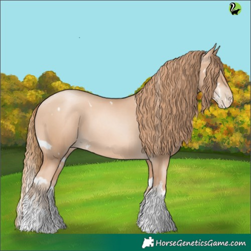 Horse Color:White Spotted Gold Champagne Pearl 