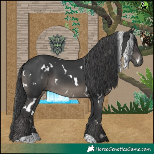 Horse Color:White Spotted Black 
