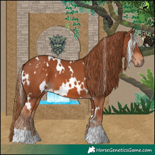 Horse Color:White Spotted Chestnut 