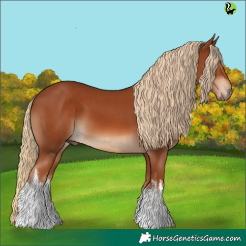 Horse Color:White Spotted Chestnut 