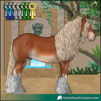 Horse Color:White Spotted Chestnut 