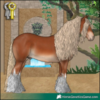 Horse Color:White Spotted Chestnut 