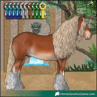 Horse Color:White Spotted Chestnut