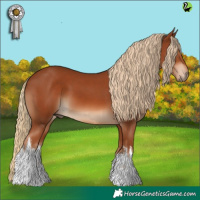 Horse Color:White Spotted Chestnut