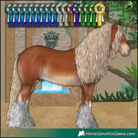 Horse Color:White Spotted Chestnut