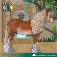 Horse Color:White Spotted Chestnut 