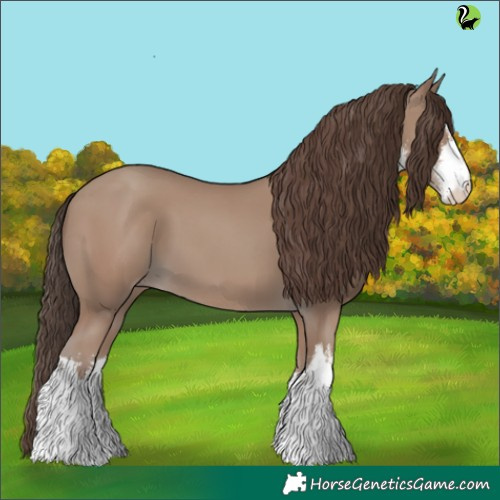 Horse Color:White Spotted Classic Champagne 