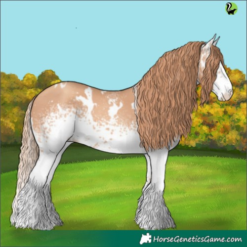 Horse Color:White Spotted Gold Champagne 