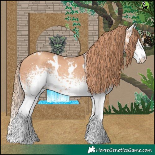 Horse Color:White Spotted Gold Champagne 