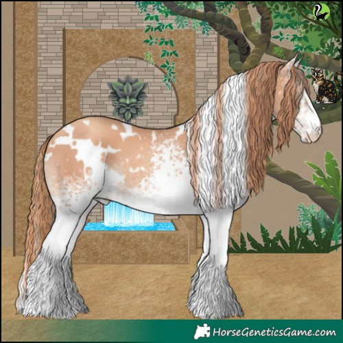 Horse Color:White Spotted Gold Champagne 
