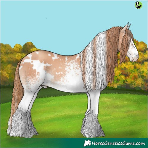 Horse Color:White Spotted Gold Champagne