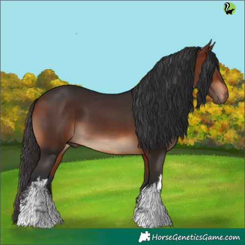 Horse Color:White Spotted Brown 
