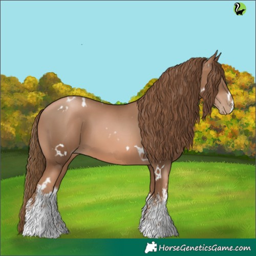 Horse Color:White Spotted Liver Chestnut Pearl 