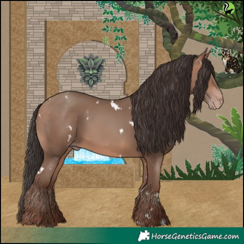 Horse Color:White Spotted Sable Champagne 