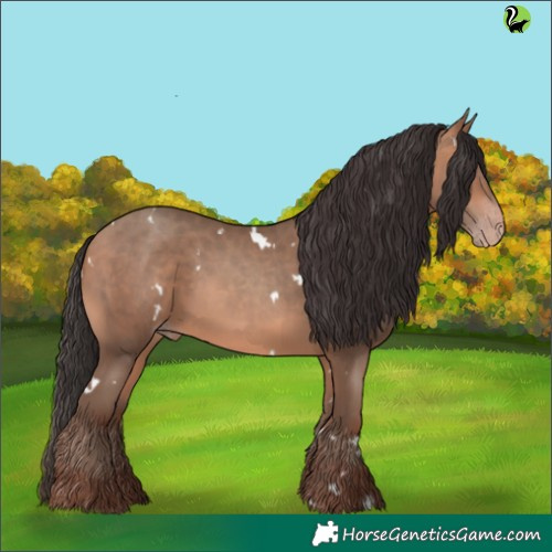 Horse Color:White Spotted Sable Champagne