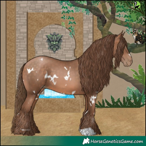 Horse Color:White Spotted Brown Pearl 