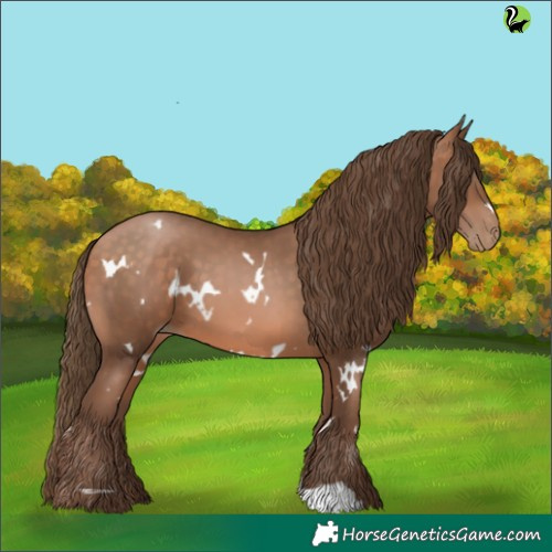 Horse Color:White Spotted Brown Pearl 