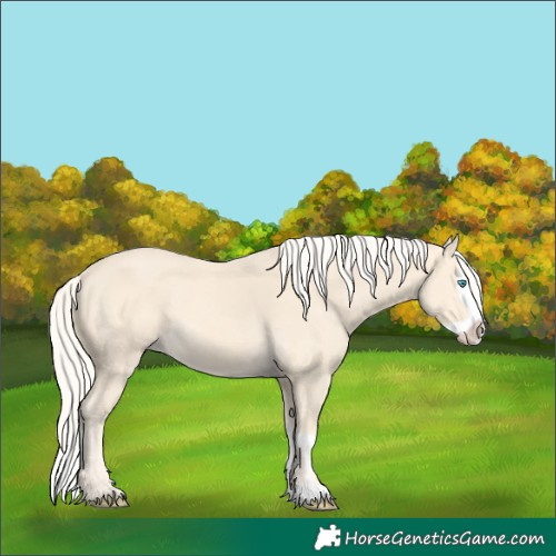 Horse Color:Cremello Splash  and Cremello Splash 
