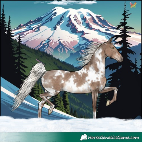 Horse Color:White Spotted Liver Red Dun Mushroom Rabicano 