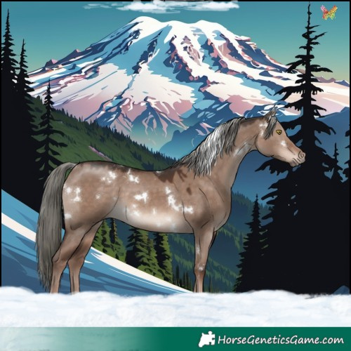 Horse Color:White Spotted Liver Red Dun Mushroom Rabicano 