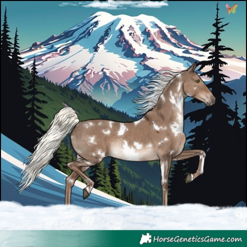 Horse Color:White Spotted Liver Red Dun Mushroom Rabicano 