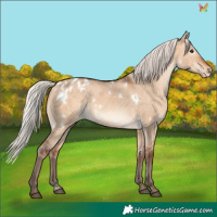 Horse Color:White Spotted Silver Bay Dun Varnish 