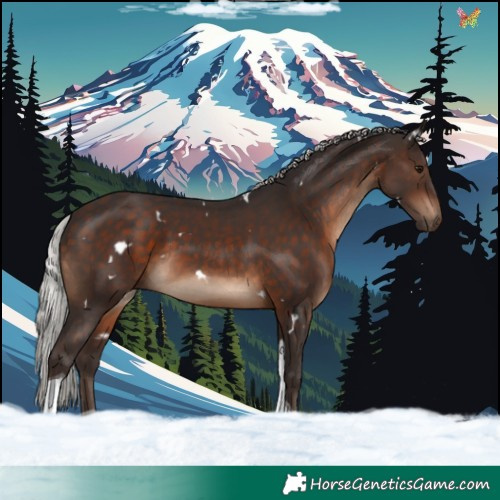Horse Color:White Spotted Silver Brown Tobiano 