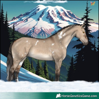 Horse Color:White Spotted Brown Dun 
