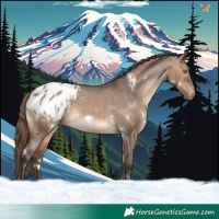 Horse Color:White Spotted Brown Dun Varnish 