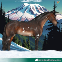 Horse Color:White Spotted Brown 