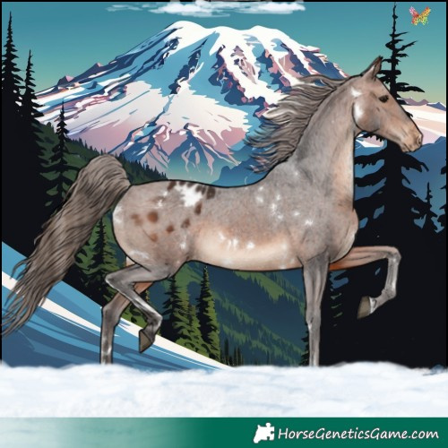 Horse Color:White Spotted Brown Varnish