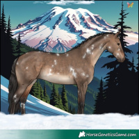 Horse Color:White Spotted Brown Dun 